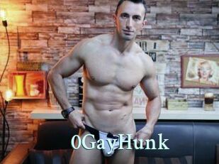 0GayHunk