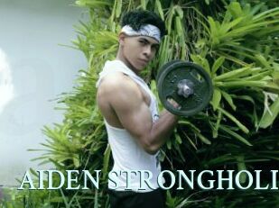 AIDEN_STRONGHOLD