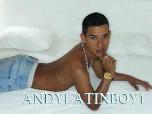 ANDYLATINBOY1