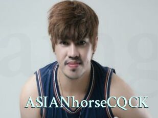 ASIANhorseCQCK