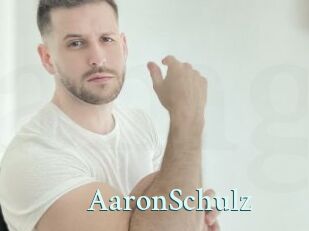 AaronSchulz