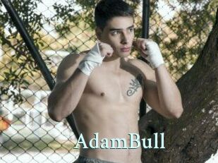 AdamBull