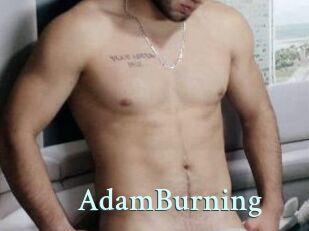 AdamBurning