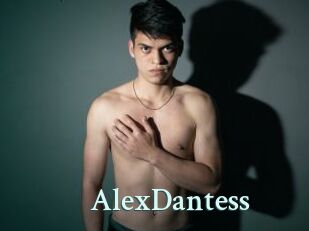 AlexDantess