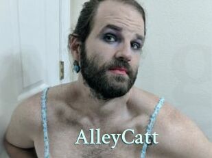 AlleyCatt