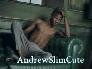 AndrewSlimCute