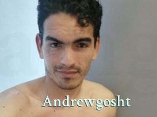 Andrewgosht