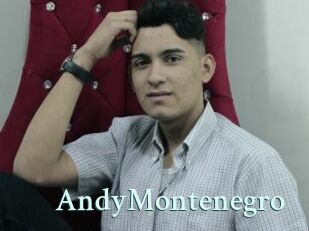 AndyMontenegro