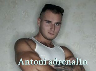 Antoni_adrenal1n