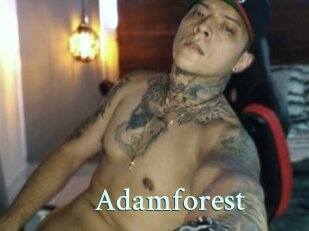 Adamforest