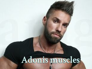 Adonis_muscles