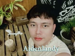 Aidenlandy