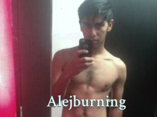 Alejburning