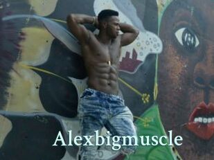 Alexbigmuscle