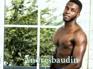 Andresbaudin