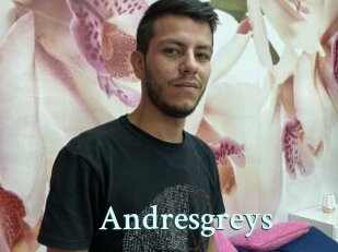 Andresgreys