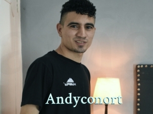 Andyconort