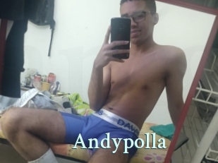 Andypolla