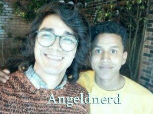 Angeldnerd