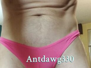 Antdawg330