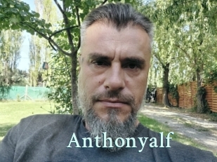 Anthonyalf