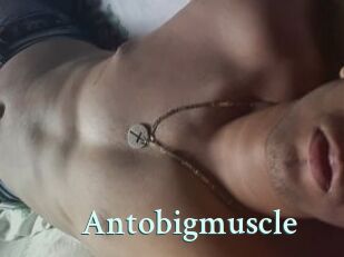 Antobigmuscle