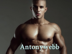 Antonywebb