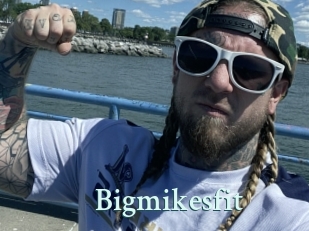 Bigmikesfit