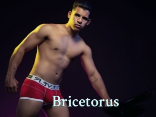 Bricetorus