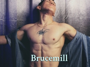 Brucemill