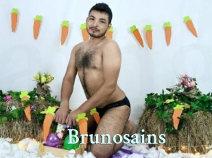 Brunosains