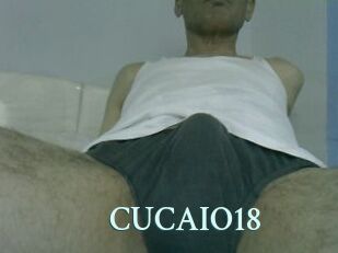 CUCAIO18