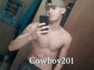 Cowboy201