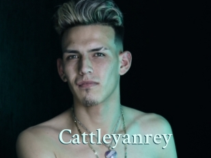 Cattleyanrey