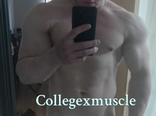 Collegexmuscle