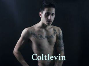 Coltlevin