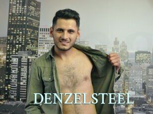 DENZELSTEEL