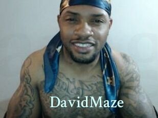 David_Maze