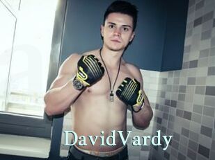 DavidVardy