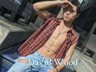 David_Wood