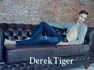 DerekTiger