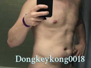 Dongkeykong0018