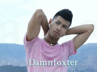 Damnfoxter