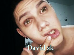 David_sk