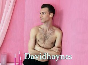 Davidhaynes