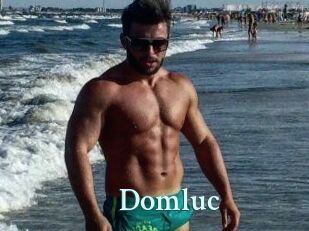 Domluc