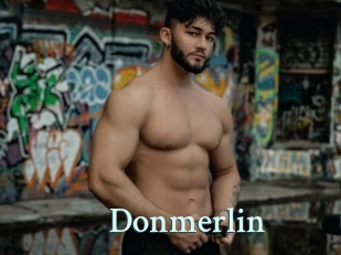 Donmerlin