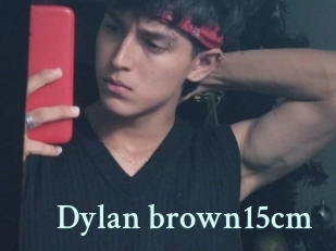 Dylan_brown15cm