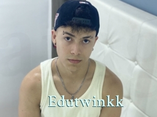 Edutwinkk