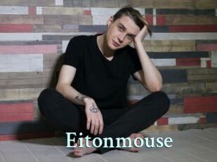 Eitonmouse